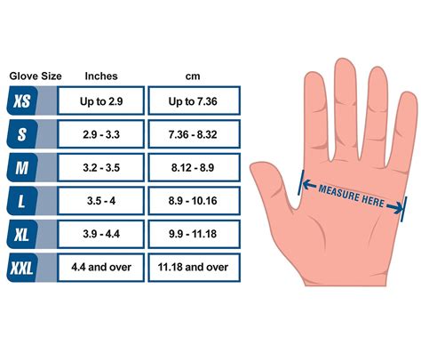 coach glove size chart